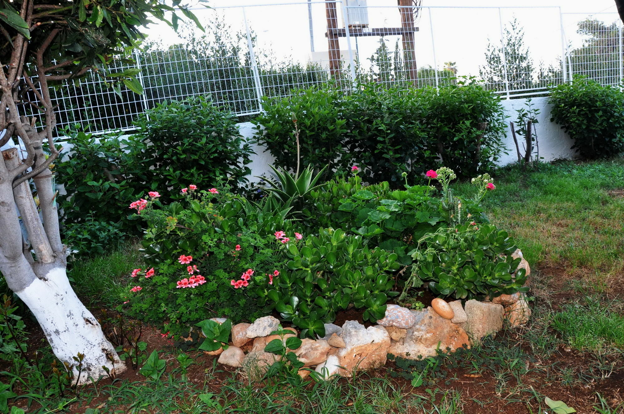 Stalida Villa Flouri מראה חיצוני תמונה